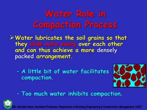 How To Properly Diagnose Soil Compaction - vrogue.co