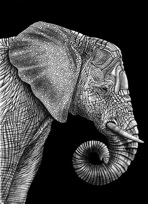 Detailed Animal Drawings Using Only Ink Elephant Love, Elephant Art ...