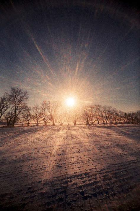 Astonishing Examples of Sun Flare Photography