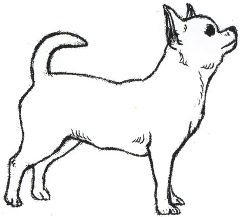 printable chihuahua dog coloring pages - Clip Art Library