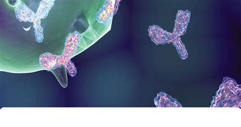 Your Guide to Epitope-Specific Monoclonal Antibody - Payhip