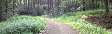 Rund um Nienstedt, Lower Saxony, Germany - Map, Guide | AllTrails