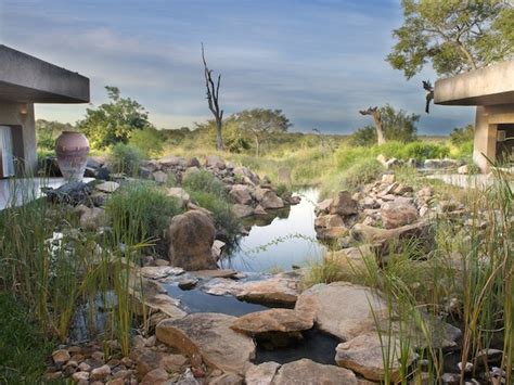 Sabi Sabi Earth Lodge | South Africa Safari Lodges