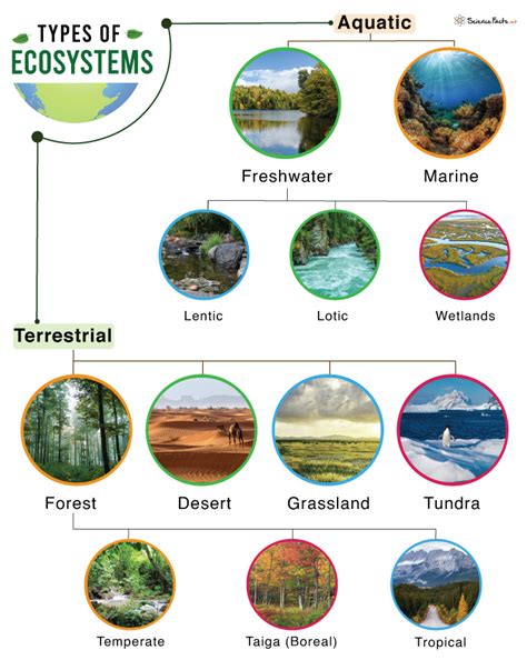 Types of Ecosystems