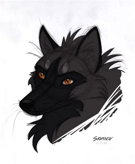 Black Fox Coloured Pencil Sketch by Shadowphoenix21 on DeviantArt