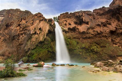 Get Ready for 2025 Havasu Falls Permits (Step-by-Step Details) — She ...