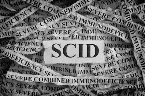 Severe Combined Immunodeficiency (SCID) | HubPages