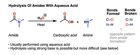 Simple Hydrolysis Reaction