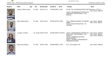 Cerro Gordo County Jail log for April 8