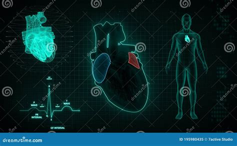 Function of Right Atrium and Left Atrium of Human Heart Stock Illustration - Illustration of ...