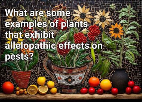 What are some examples of plants that exhibit allelopathic effects on pests? – Gardening.Gov.Capital