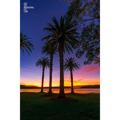 Balmoral beach tropical sunrise | Wall Art Prints | By Allan Chan