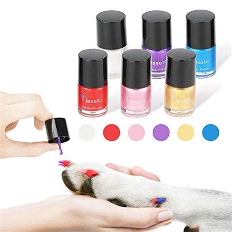 7 Best Dog Nail Polishes [2024 ]: Give Your Canine Some Color!