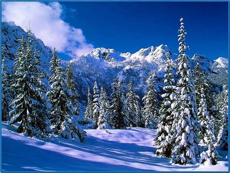 Winter Screensavers and Wallpaper - Download-Screensavers.biz