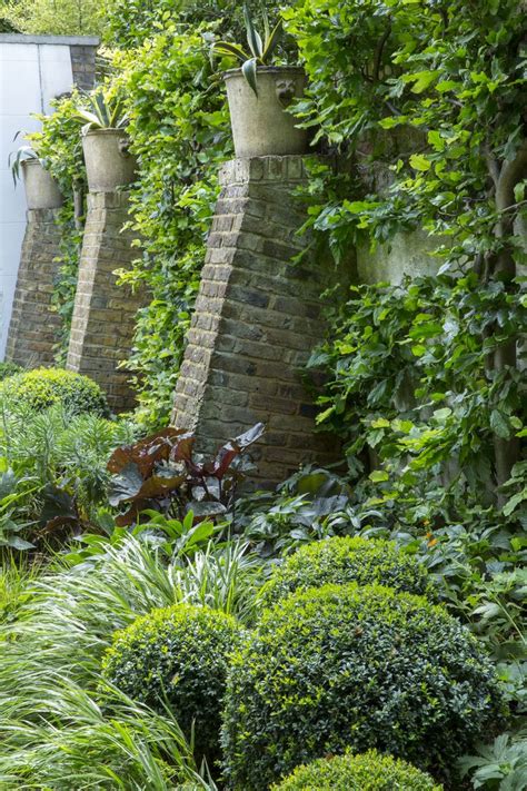 Battersea Mews — The Plant Specialist in 2020 | Plants, Small urban ...