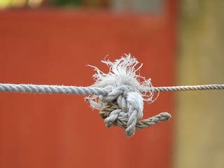 Rope Knot 2 | Rebecca Dongallo | Flickr