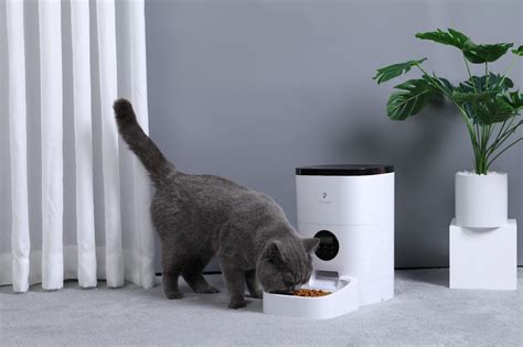 Check this out petlibro automatic cat feeder – Artofit