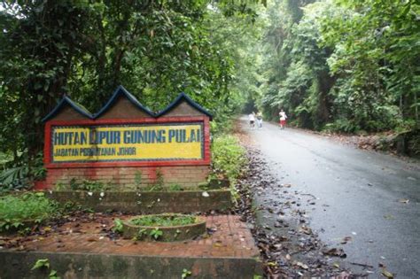 Gunung Pulai (Malaysia) | Adventure Vacation Trip