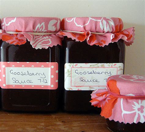 Kate's Amazing Gooseberry Sauce Recipe - Completeness