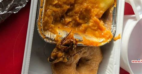 Air India passenger finds dead cockroach in breakfast served on board