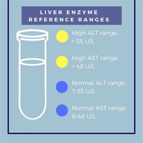 liver function test normal range - Claire Bell