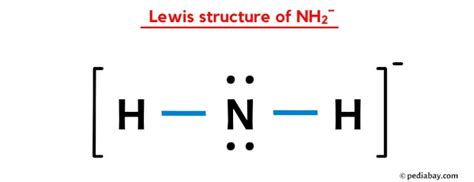 NH2- Lewis Structure in 6 Steps (With Images)