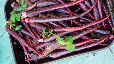 Are Purple Carrots Healthier? Nutrition, Benefits, and Uses