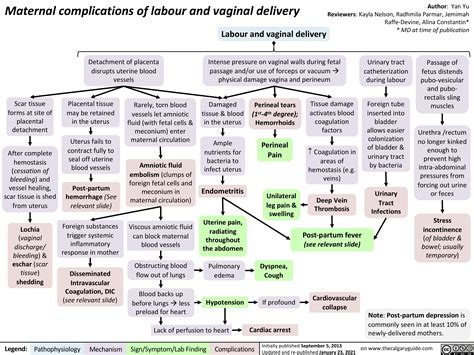 Maternal Complications of Labor and Vaginal Delivery | Calgary Guide