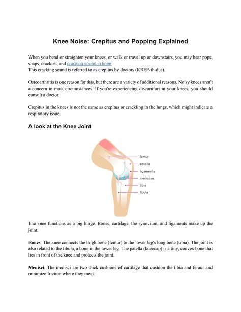 Knee Noise Crepitus and Popping Explained by spinalogypune - Issuu