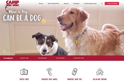 18 Best Pet Care Websites Design Inspiration 2025 - Colorlib