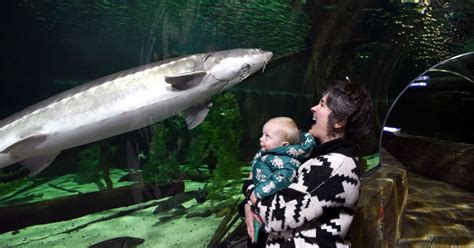 Eight Ways to Encounter Animals in Minnesota | Explore Minnesota