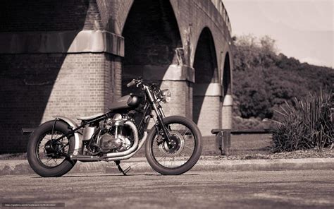 🔥 [120+] Bobber Wallpapers | WallpaperSafari