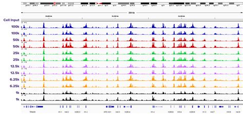 Fixed Cell ATAC-Seq Kit