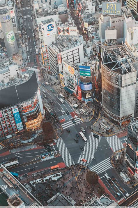 Shibuya Scramble Square: A Guide To Tokyo's Newest & Most Instagenic Attraction - TheSmartLocal ...