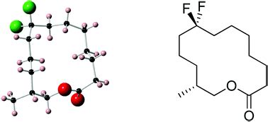 Fluorine in fragrances: exploring the difluoromethylene (CF2) group as a conformational ...