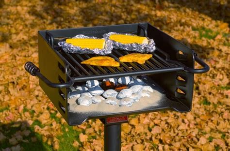 Two Men and a Little Farm: PARK STYLE GRILLS FOR THE FARM