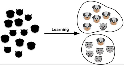 Binary classification and core concepts of it — DS/ML course