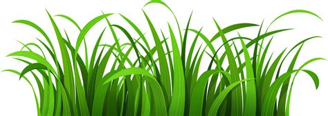 Free Transparent Grass Clipart, Download Free Transparent Grass Clipart png images, Free ...