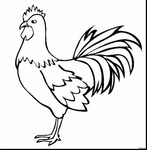 Rooster Drawing Easy / Cute Rooster Drawing | Free download on ClipArtMag | Andrew Faulkner