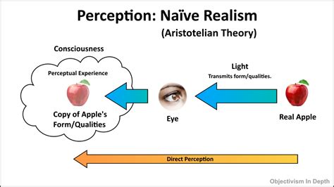 Perception – Naïve Realism | Objectivism In Depth