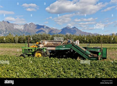 John Deere tractor pulling Lockwood potato harvester Stock Photo - Alamy