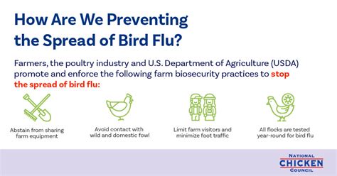 Avian Flu (Avian Influenza) Information