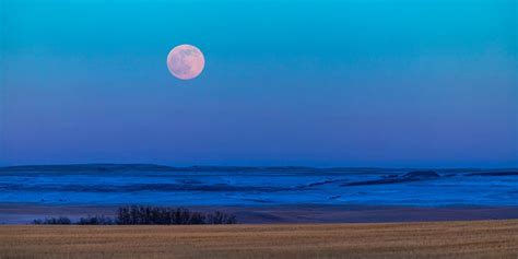 Last full moon of meteorological winter to light up the night | Fox Weather