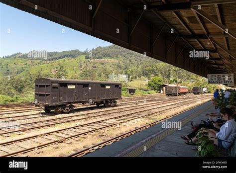 Nuwara Eliya tea fields of Sri Lanka Stock Photo - Alamy