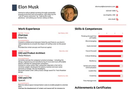 Il curriculum di Elon Musk è composto da una sola pagina