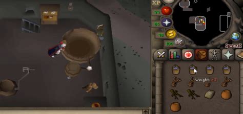 OSRS Brewing Ale - Easy Passive Money Making Guide - NovaMMO