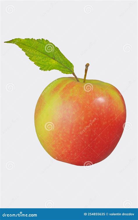 Red Apple with Leaf Isolated Stock Image - Image of product, fruit: 254855635