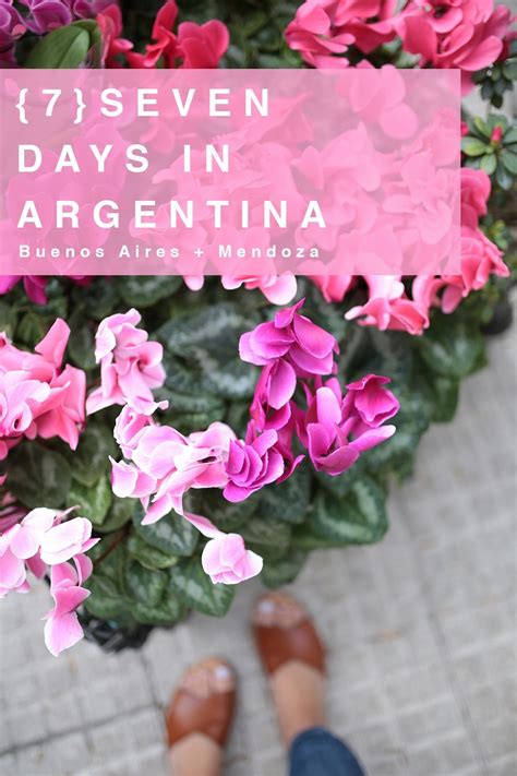 Argentina 7 Day Itinerary | Argentina, Buenos aires, Mendoza