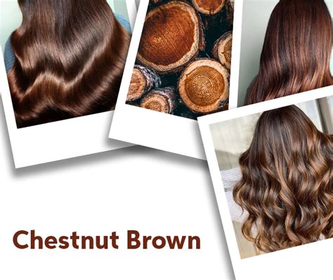 Chestnut Brown Hair Color Ideas & Formulas | Wella Professionals