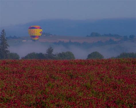 Newberg, Oregon | Natural Landmarks